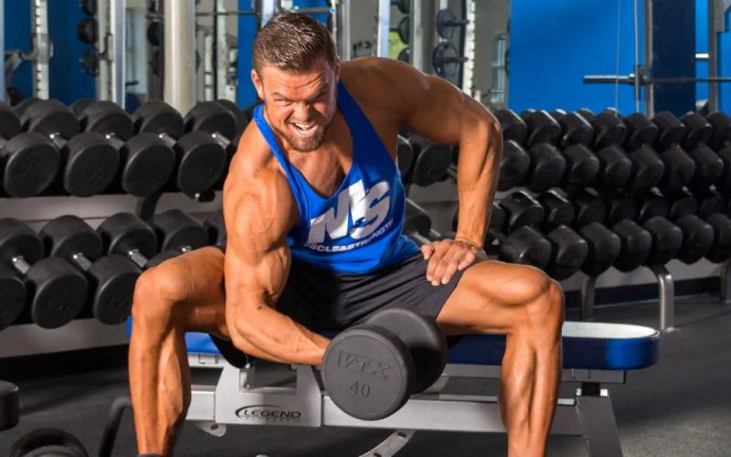 Powerful Workout Plans for Muscle Gain